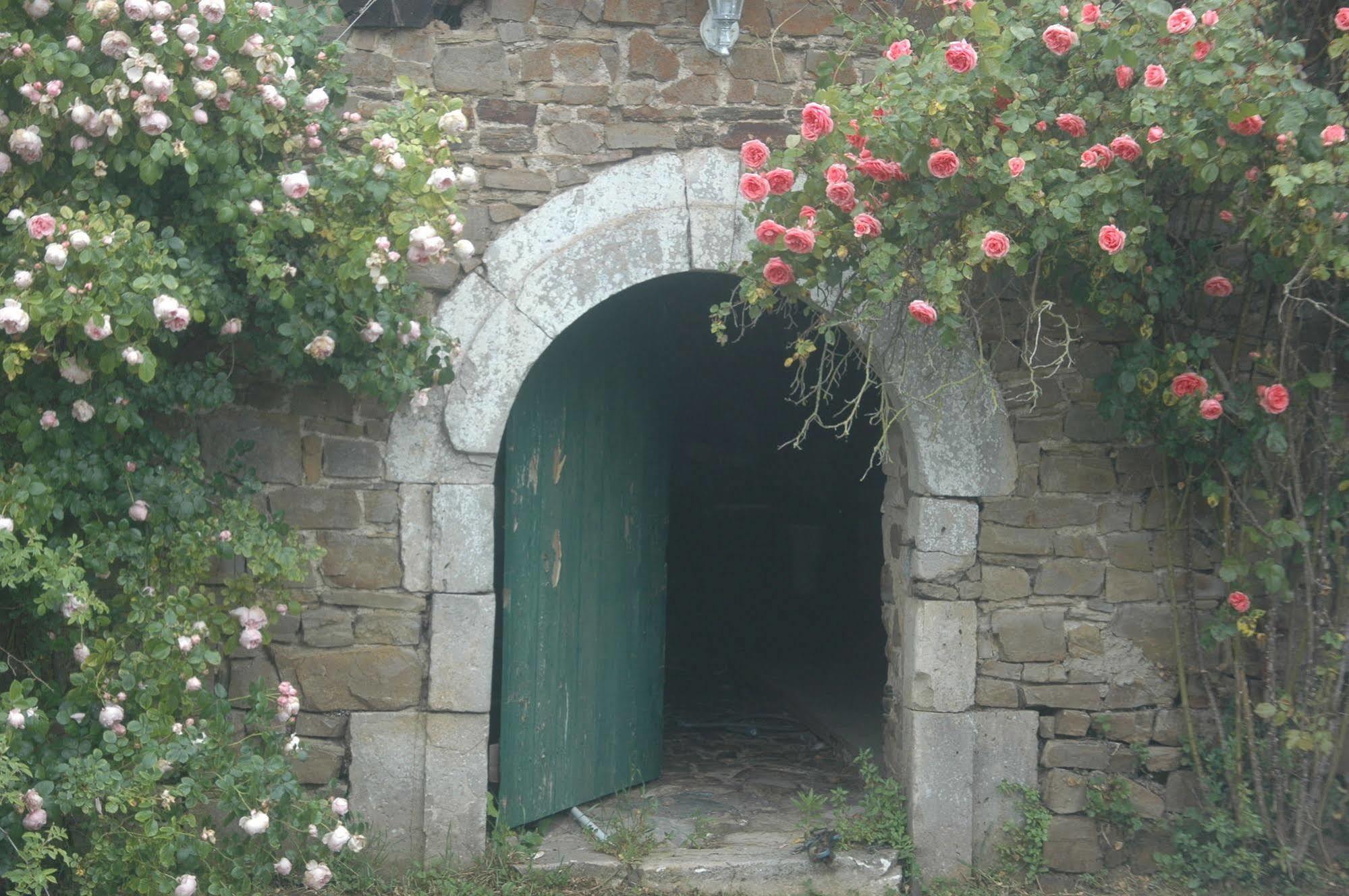Le Chateau De Claids Saint-Patrice-de-Claids Exterior foto